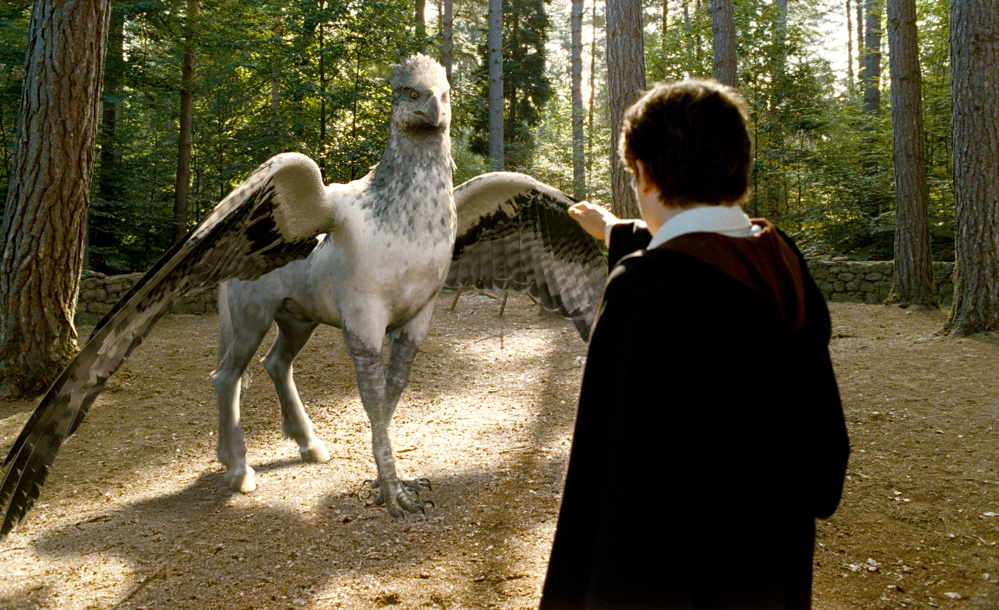 Hippogriff Mythological Horses