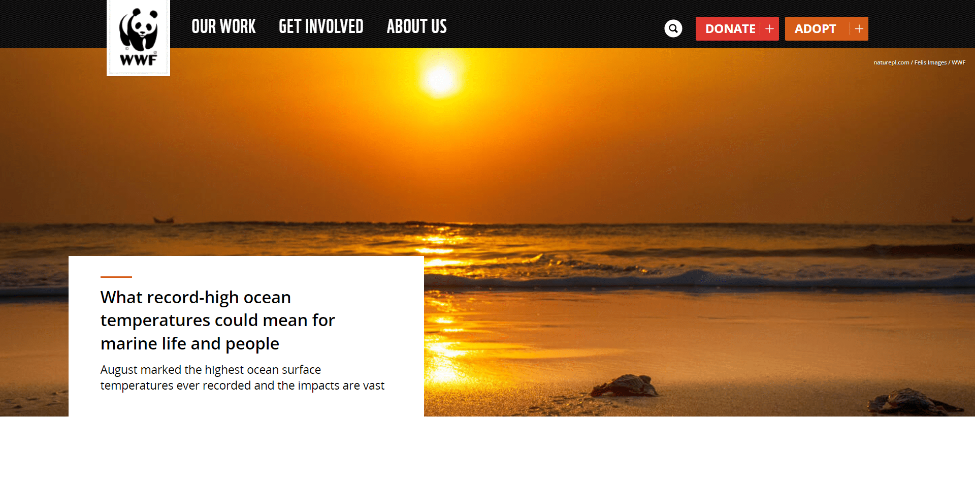 WWF - Wildlife Organizations