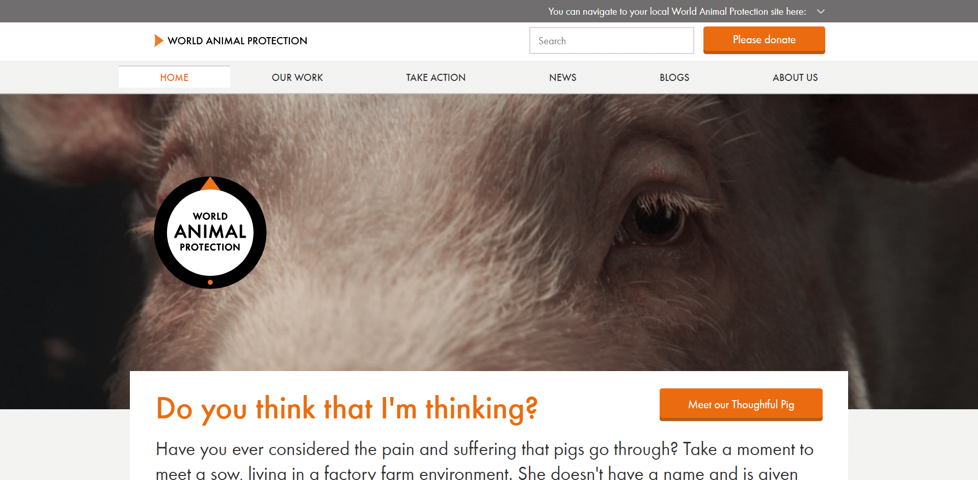 World Society for The Protection of Animals (WSPA)