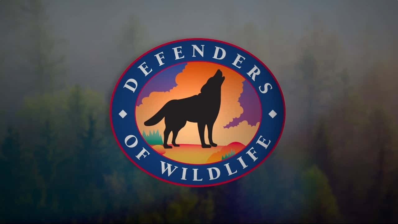 Defenders of Wildlife