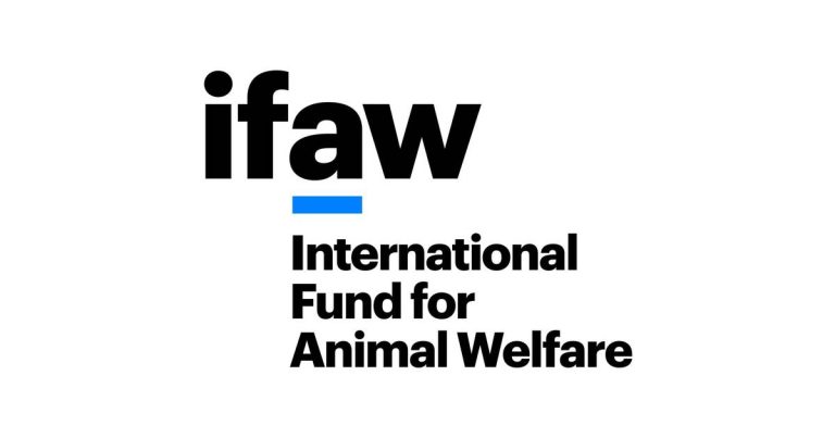 IFAW (International Fund for Animal Welfare)