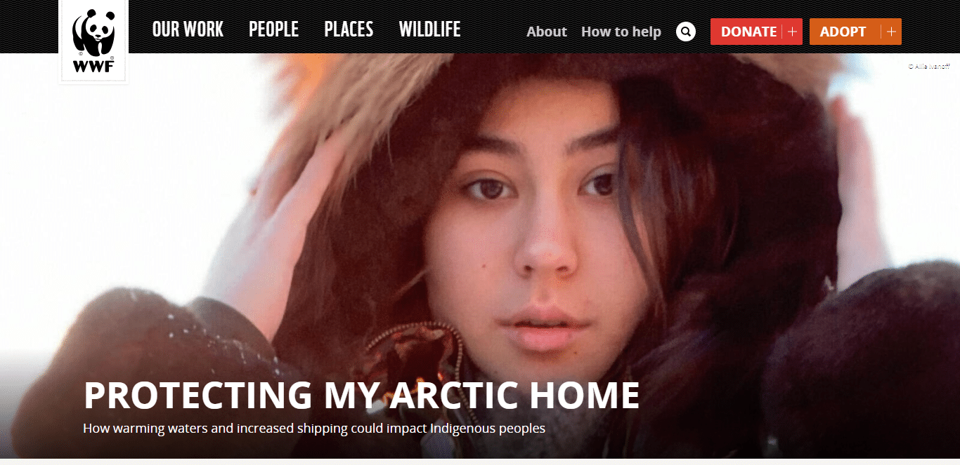 World Wide Fund for Nature (WWF)