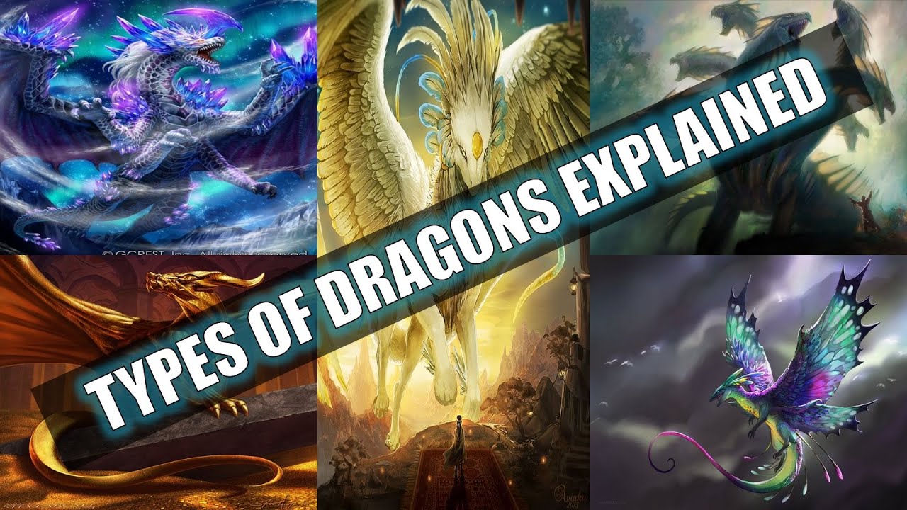 types of dragons