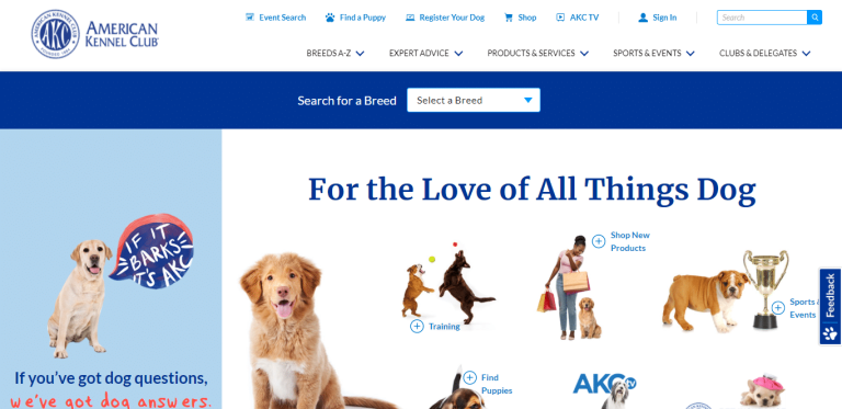 American Kennel Club (AKC): Everything You Need to Know
