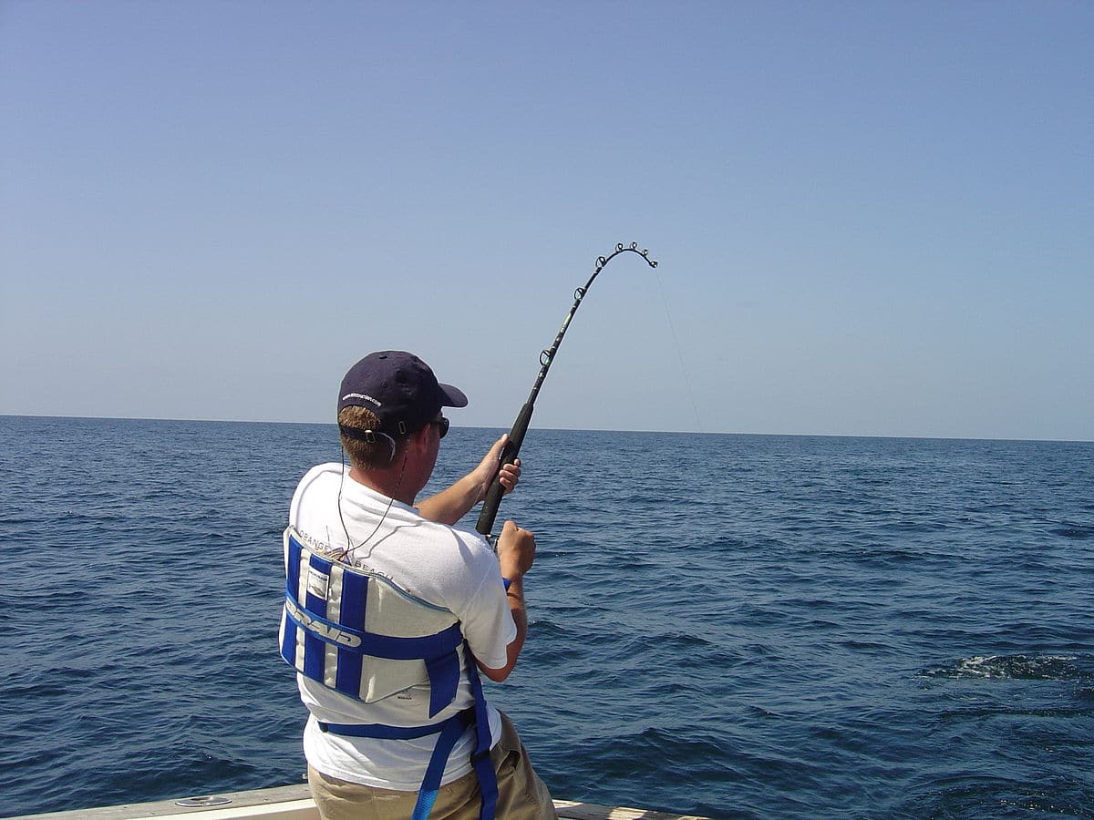 Different Types of Fishing Rods