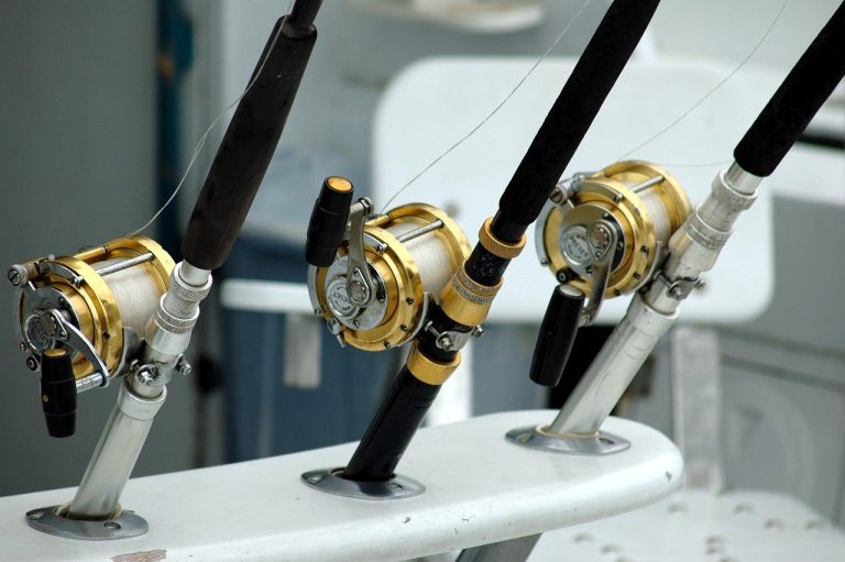 7 Types of Fishing Reels and Their Functions