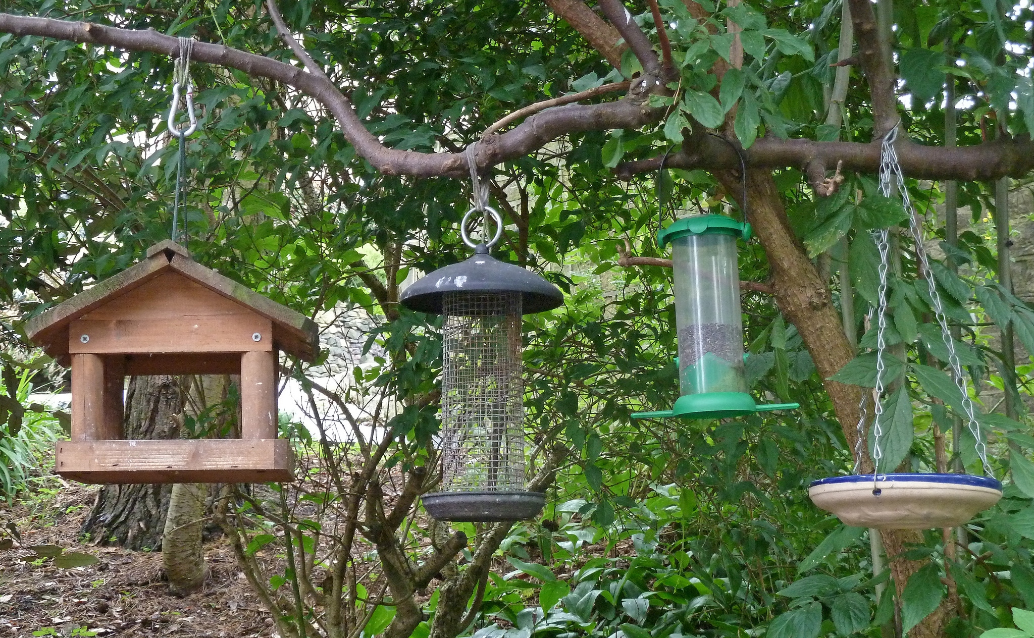 Different Types of Bird Feeders