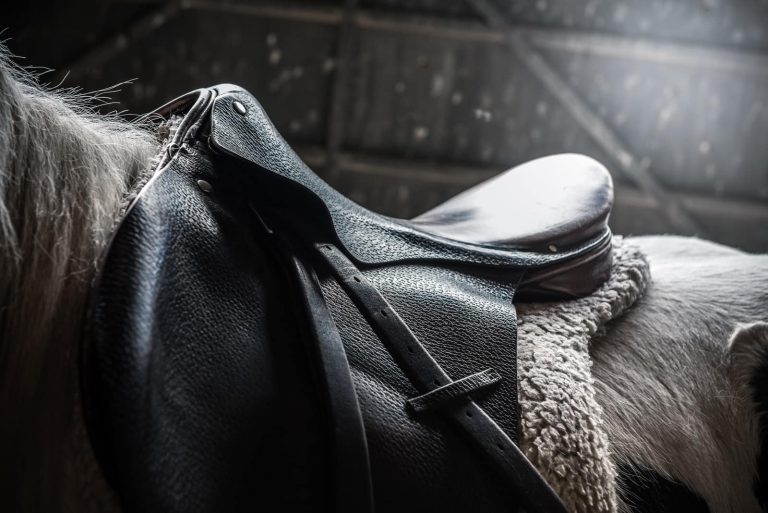 Types of Saddles Explained: Which One Is Right for You?