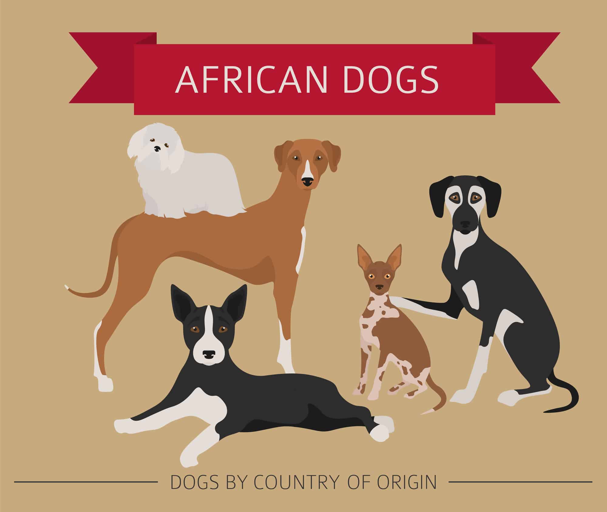 African Dog Breeds