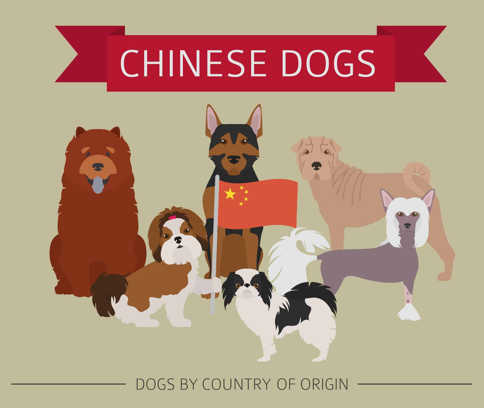 Chinese Dog Breeds