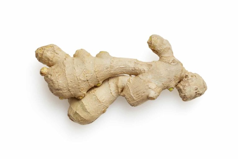 Can Dogs Eat Ginger?
