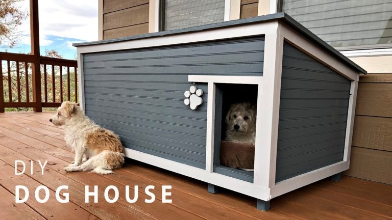 How to Insulate a Dog House?