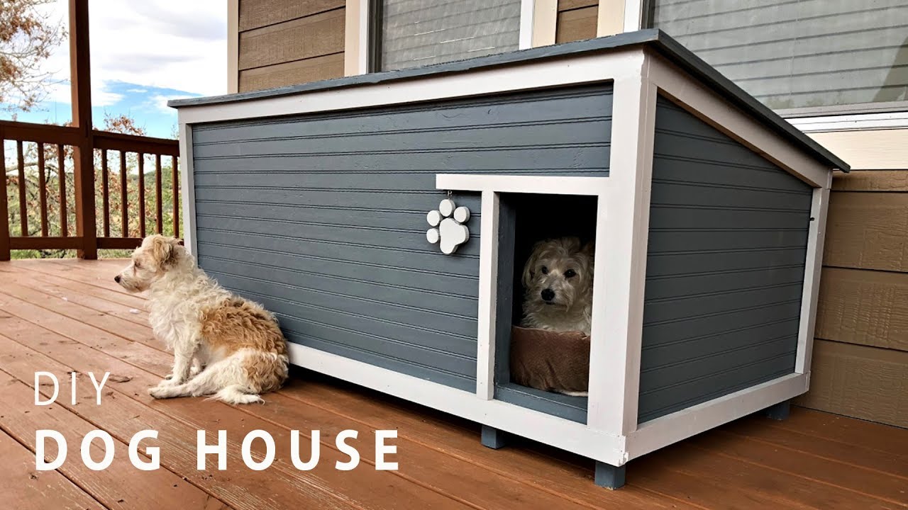 How to Insulate a Dog House