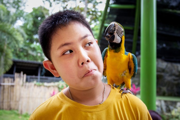 What Animals Are in Petting Zoos?