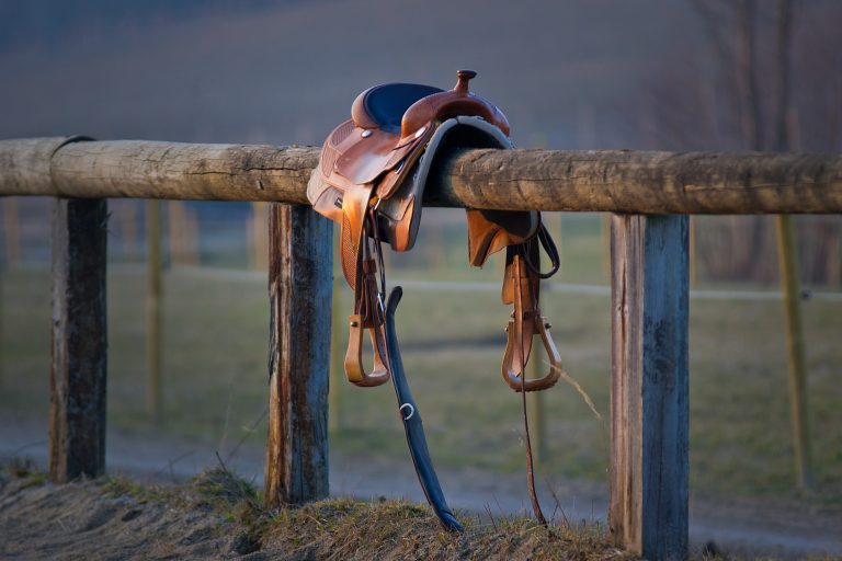 The 10 Most Common Types of Western Saddles