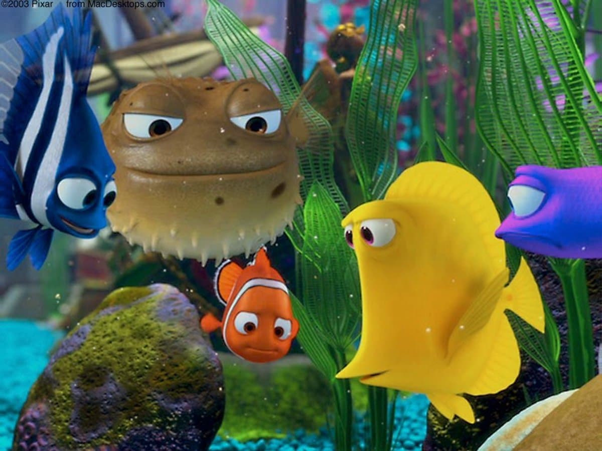 Finding Nemo Fish Species