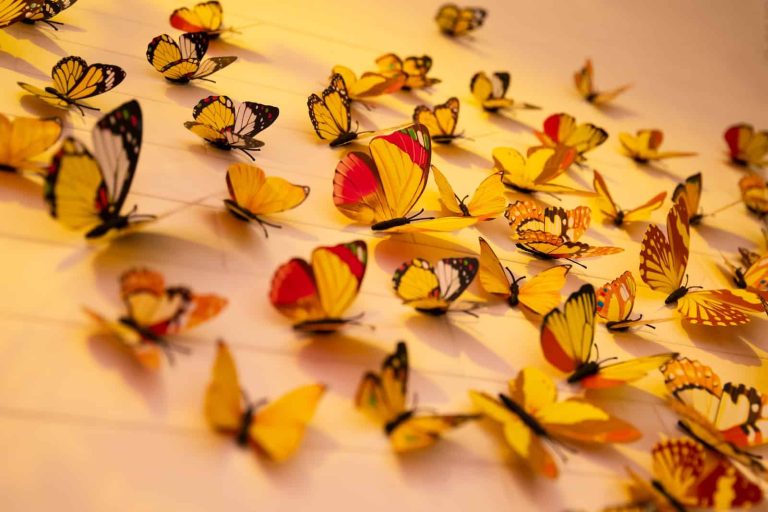 29 Types of Butterflies in Texas You Didn’t Know Existed