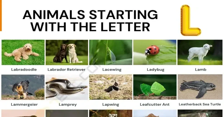 30 Animals That Start With L