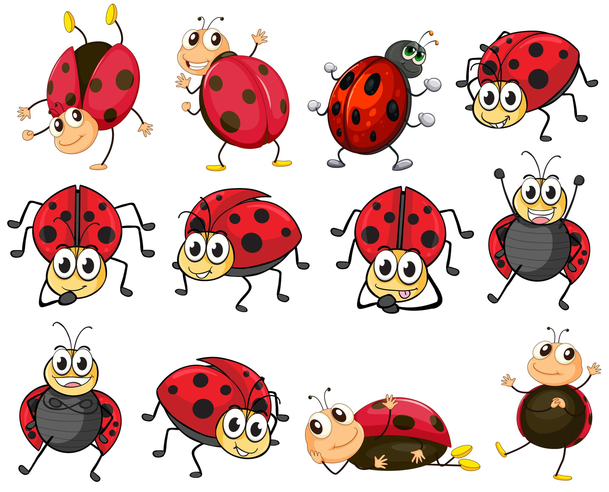 Different Types of Ladybugs With Spots