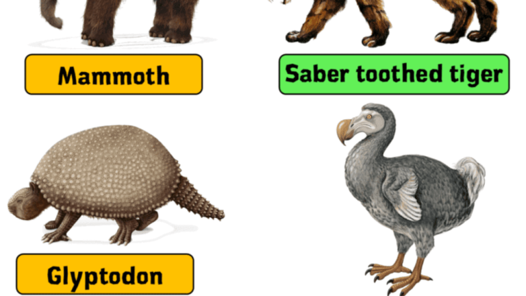 Which of These 39 Extinct Animals Do You Wish Still Existed?