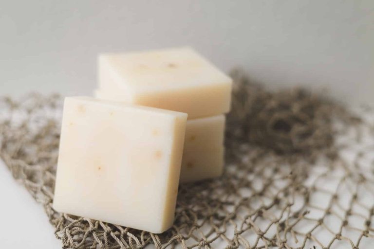 Can Cats Eat Cheese?