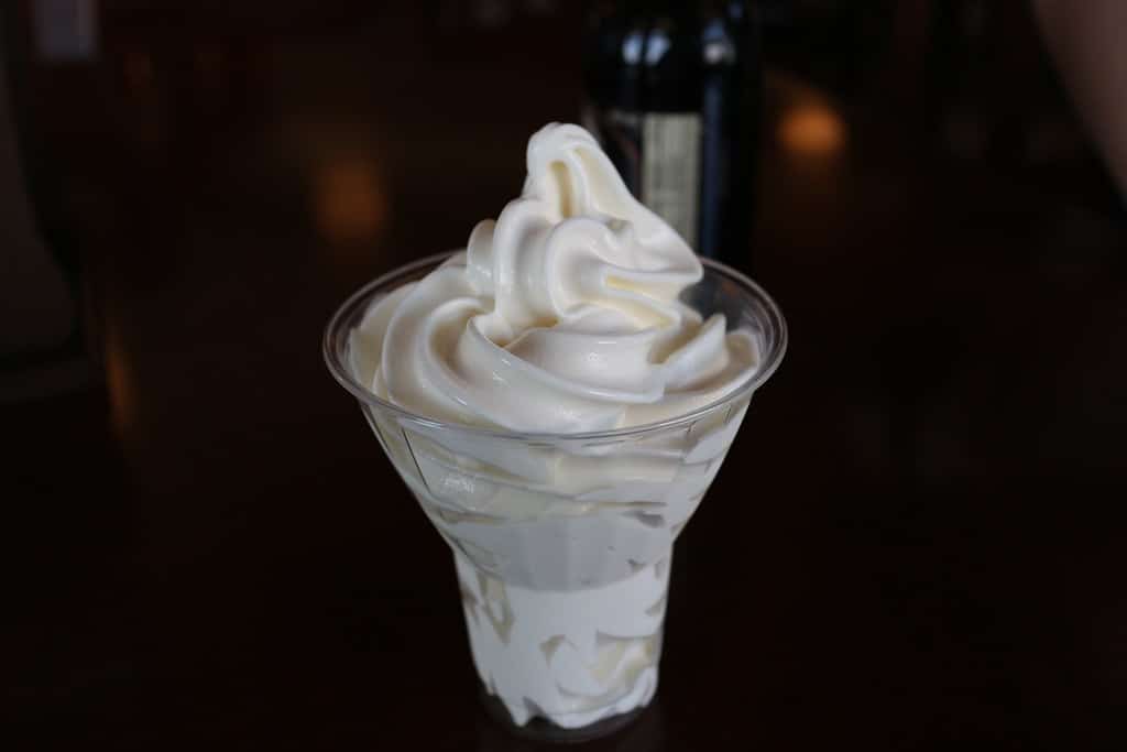 Can Cats Eat Vanilla Ice Cream?