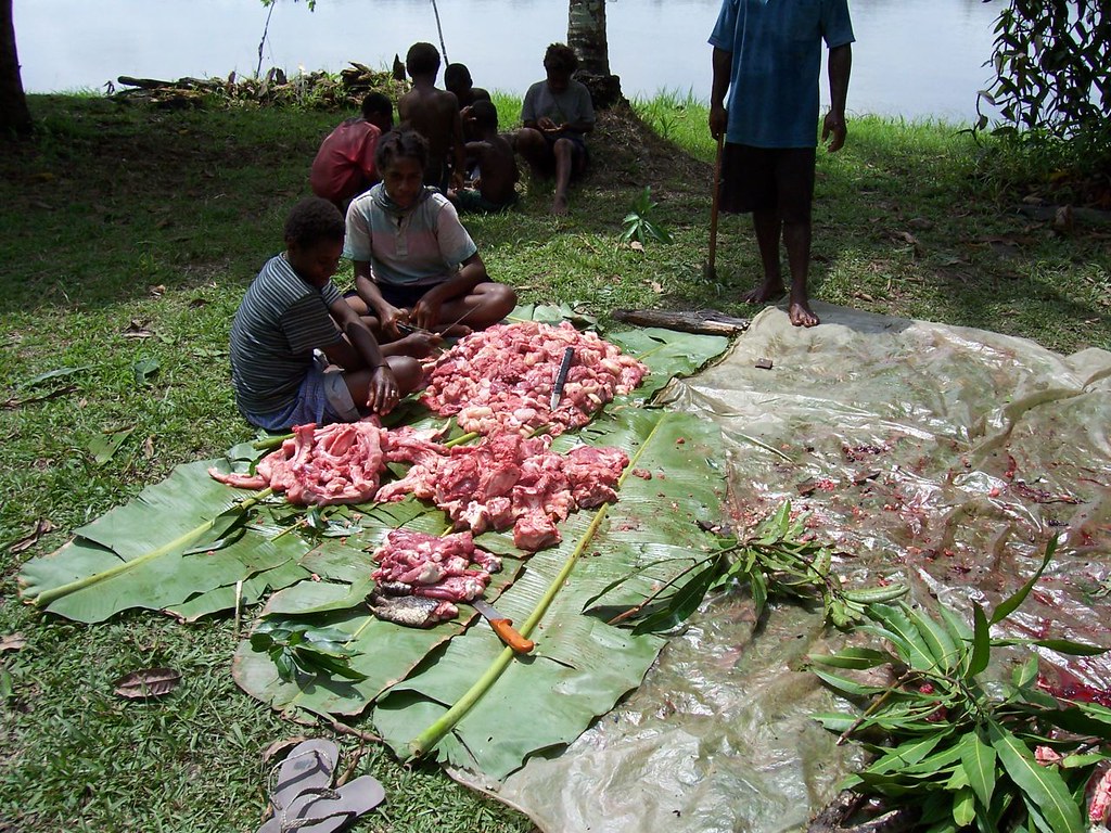 Alligator and Crocodile