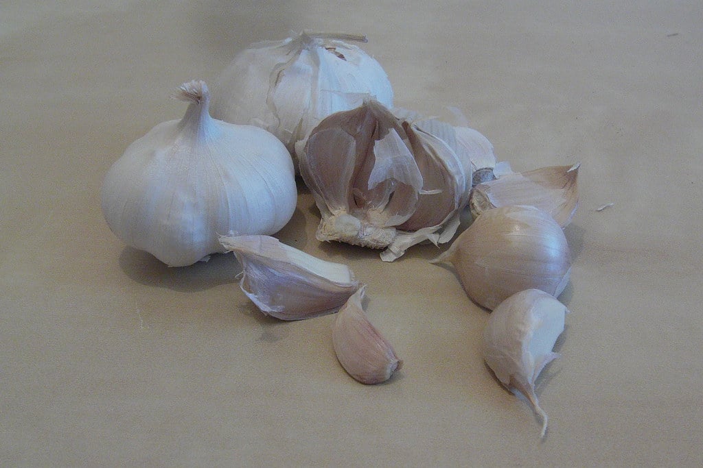 Garlic - Plants That Repel Cats