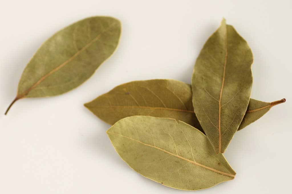 Bay leaves