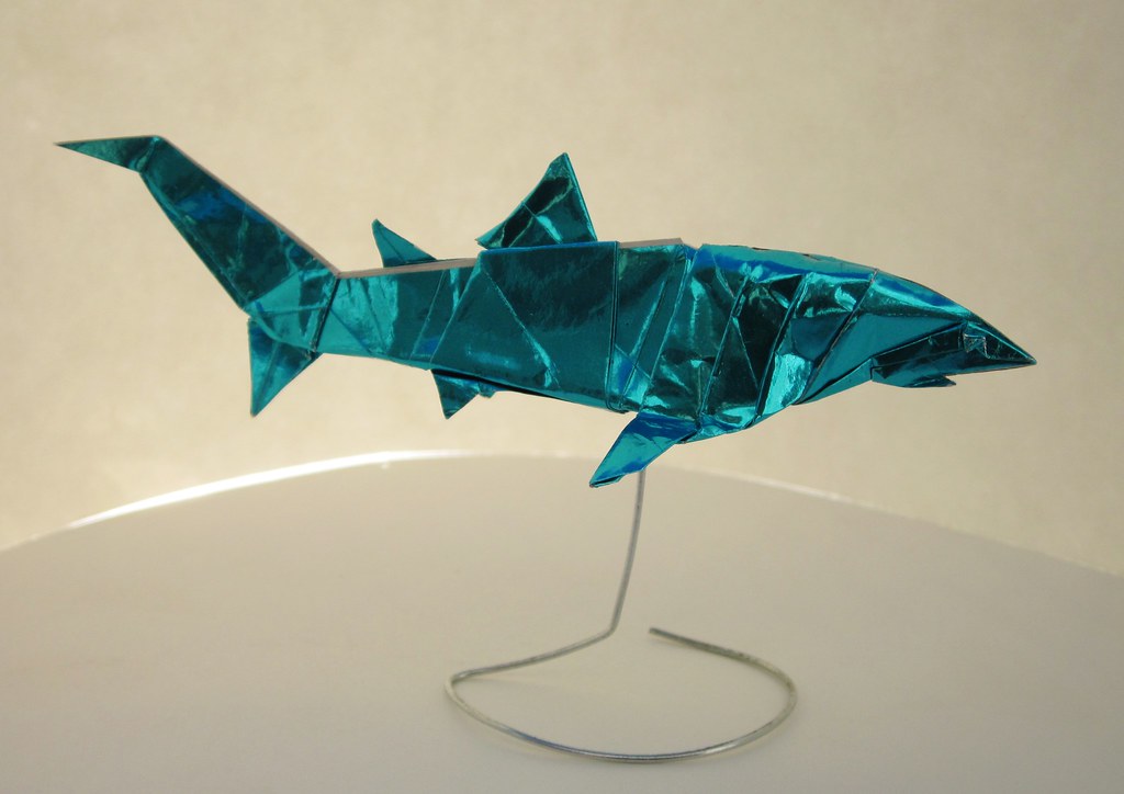 Blue Shark