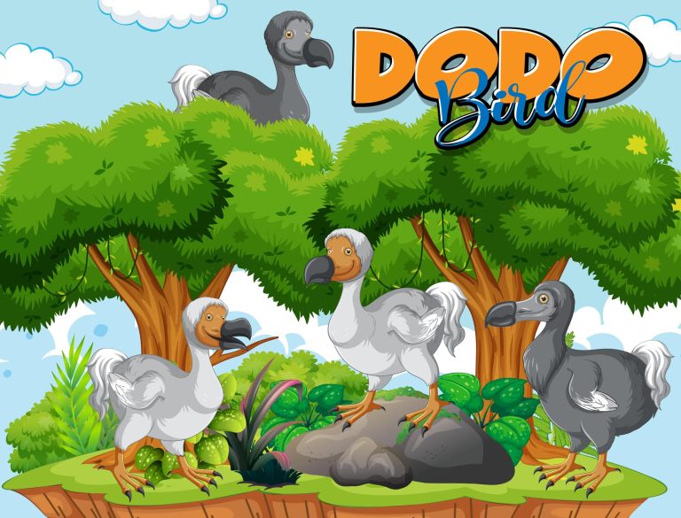 How Did Dodo Birds Go Extinct?