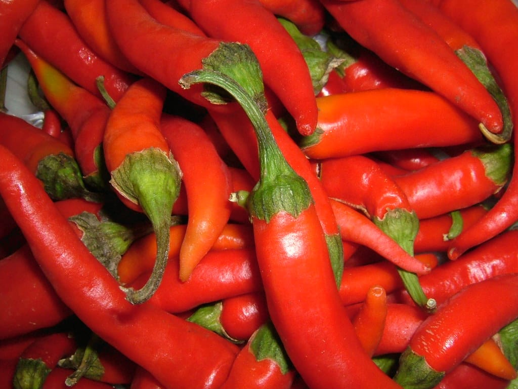 Hot Pepper