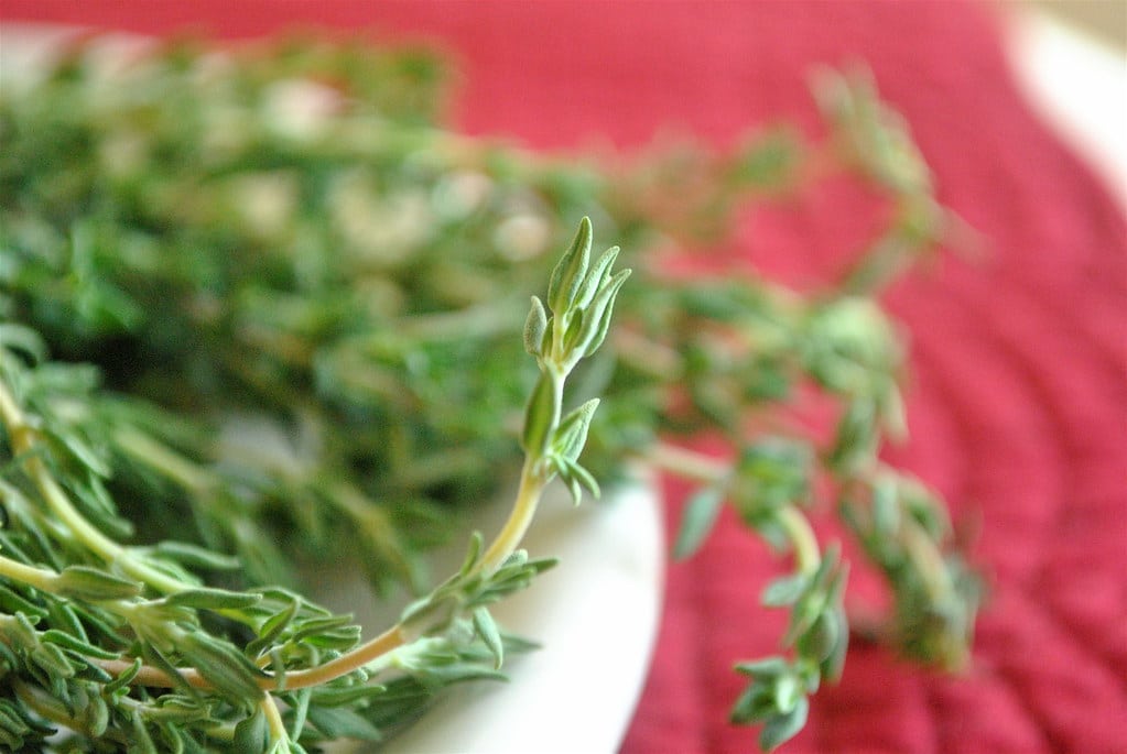 Thyme