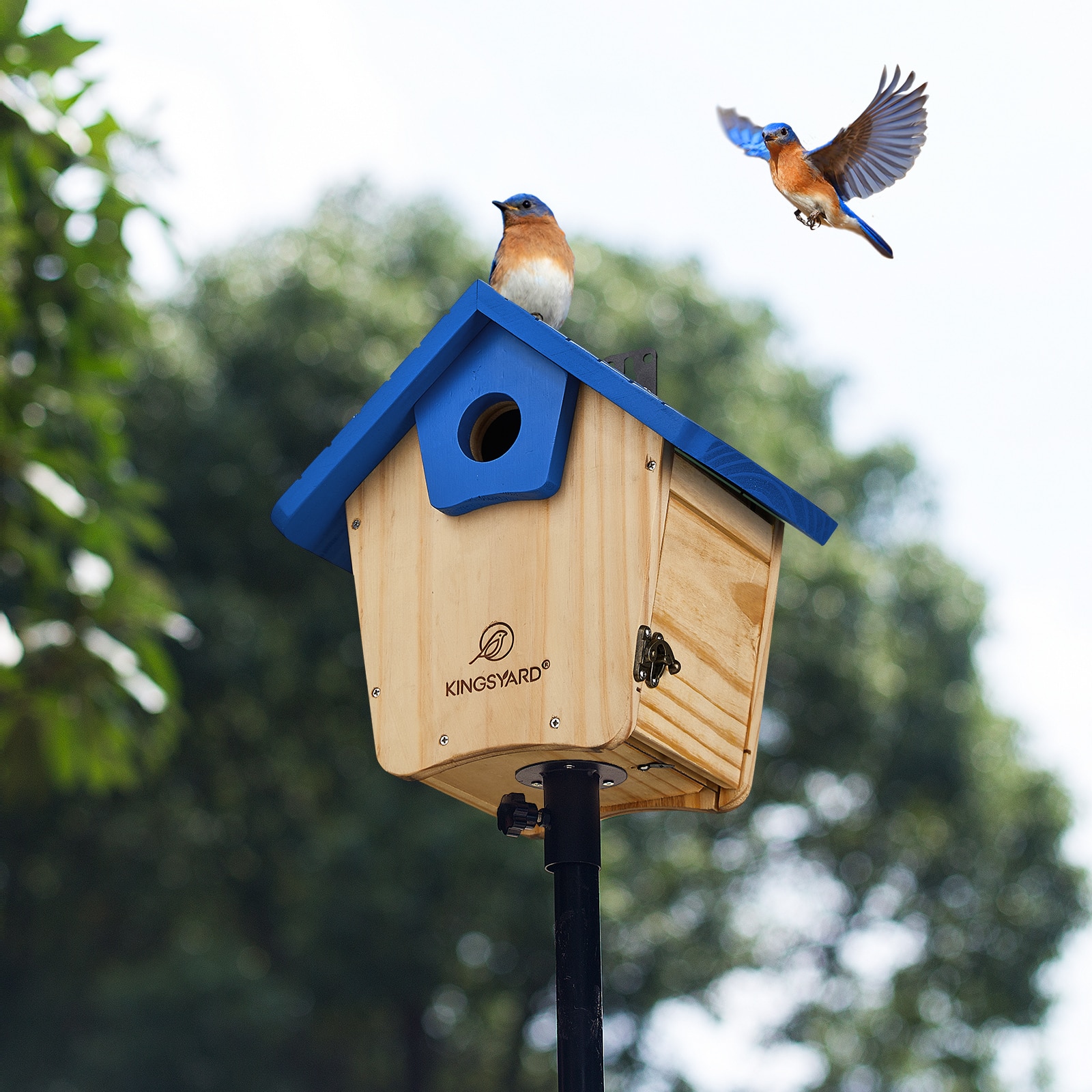 Kingsyard Wooden Bluebird House $25.99