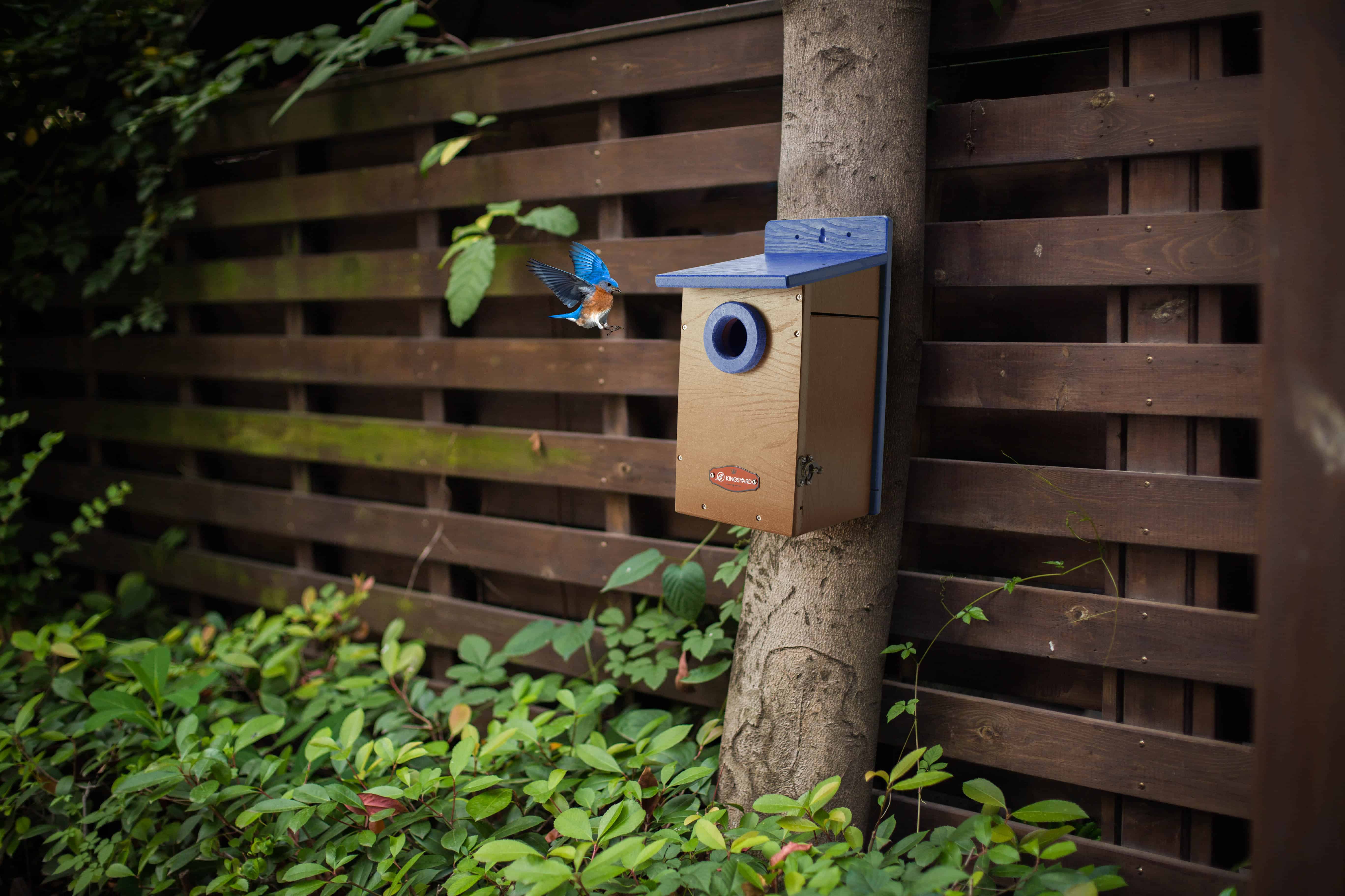 Kingsyard Recycled Plastic Bluebird House $39.99