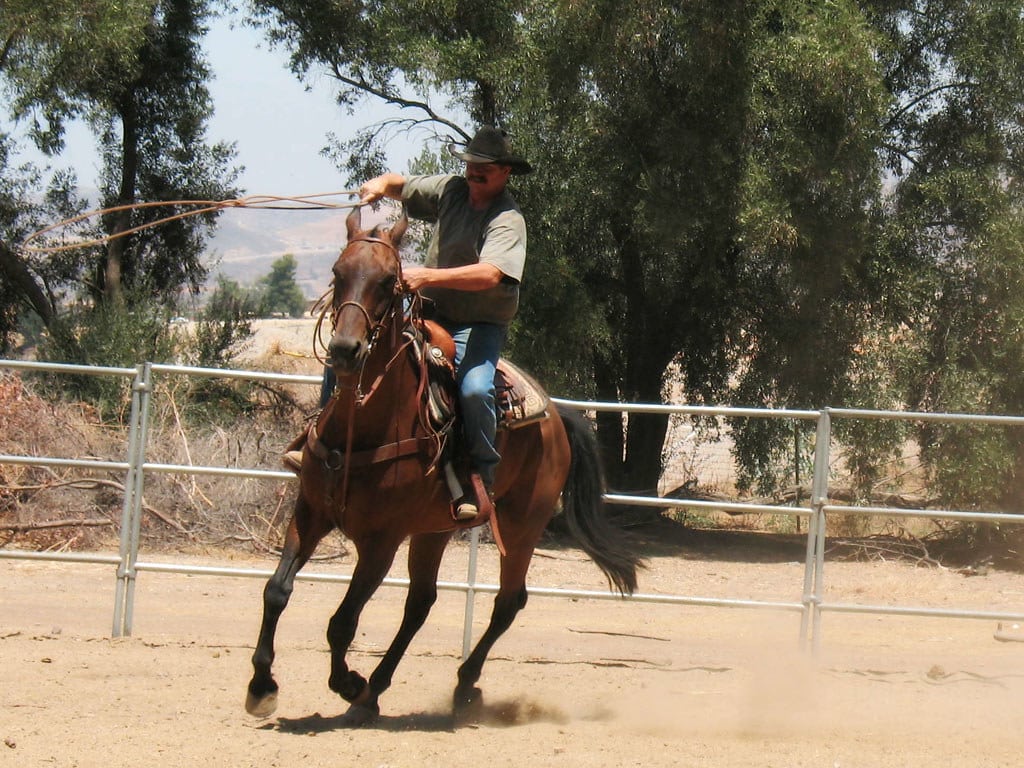 Roping