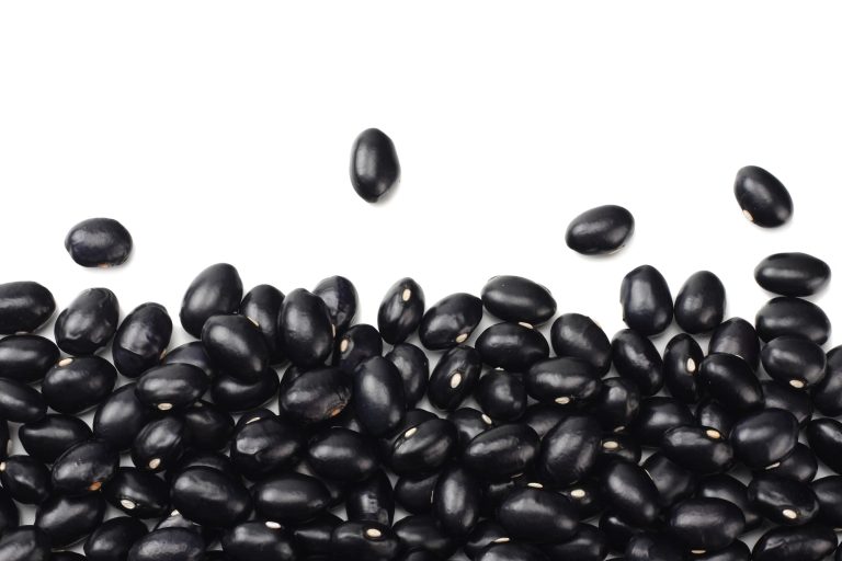 Can Chickens Eat Canned Black Beans?