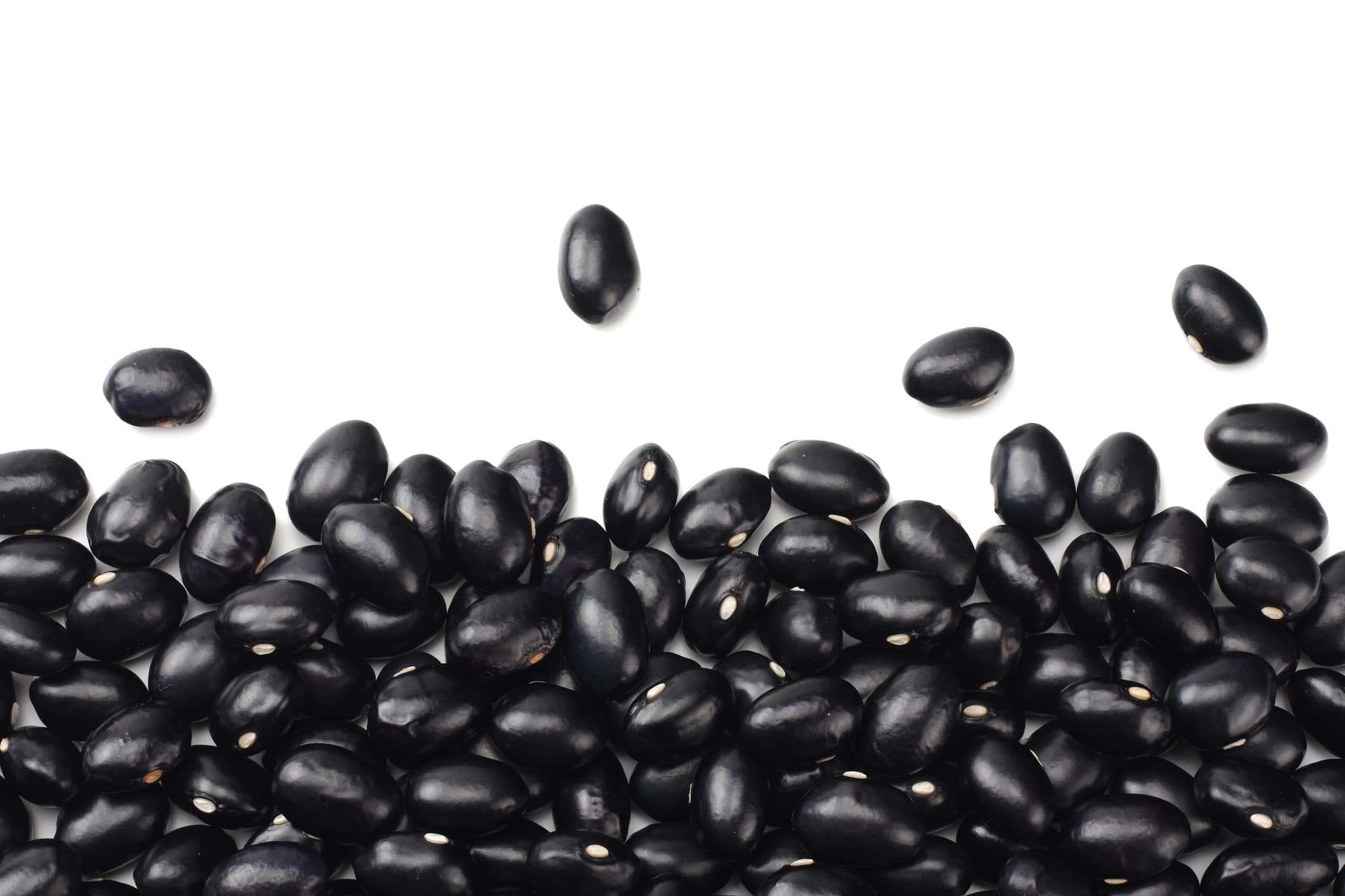 Can Chickens Eat Canned Black Beans