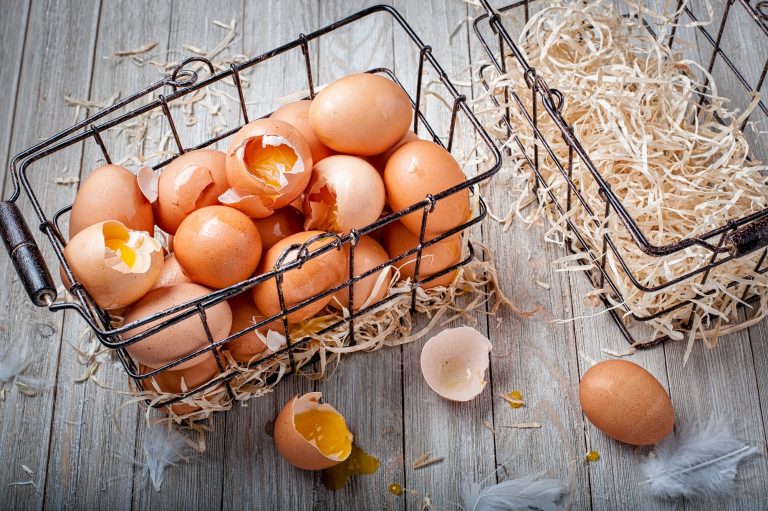 Can Chickens Eat Egg Shells?
