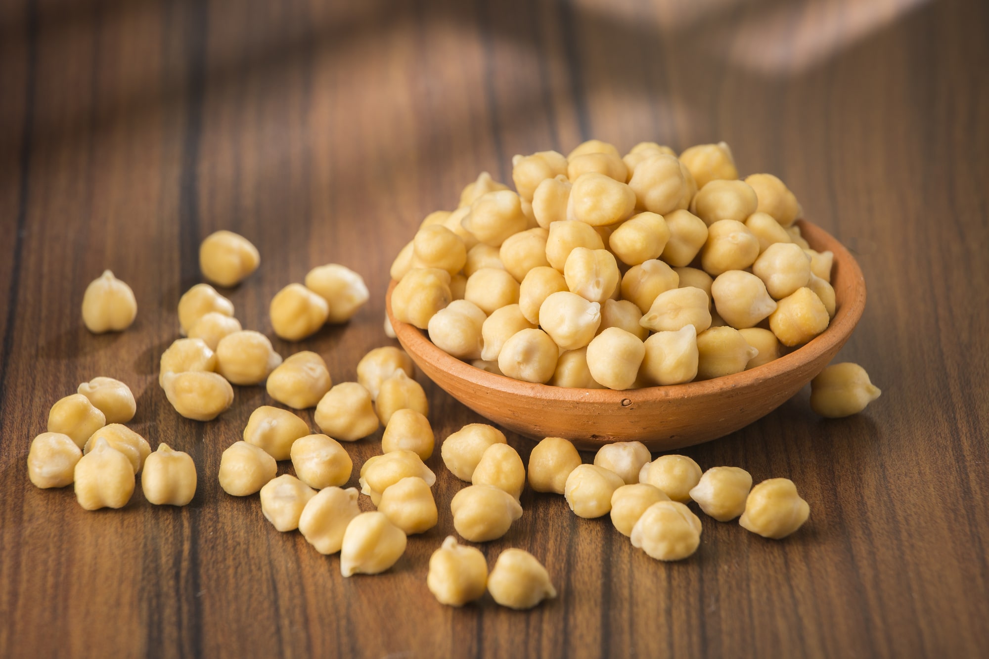 Can Chickens Eat Garbanzo Beans