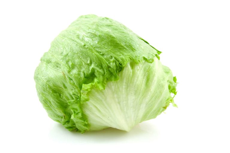Can Chickens Eat Iceberg Lettuce?