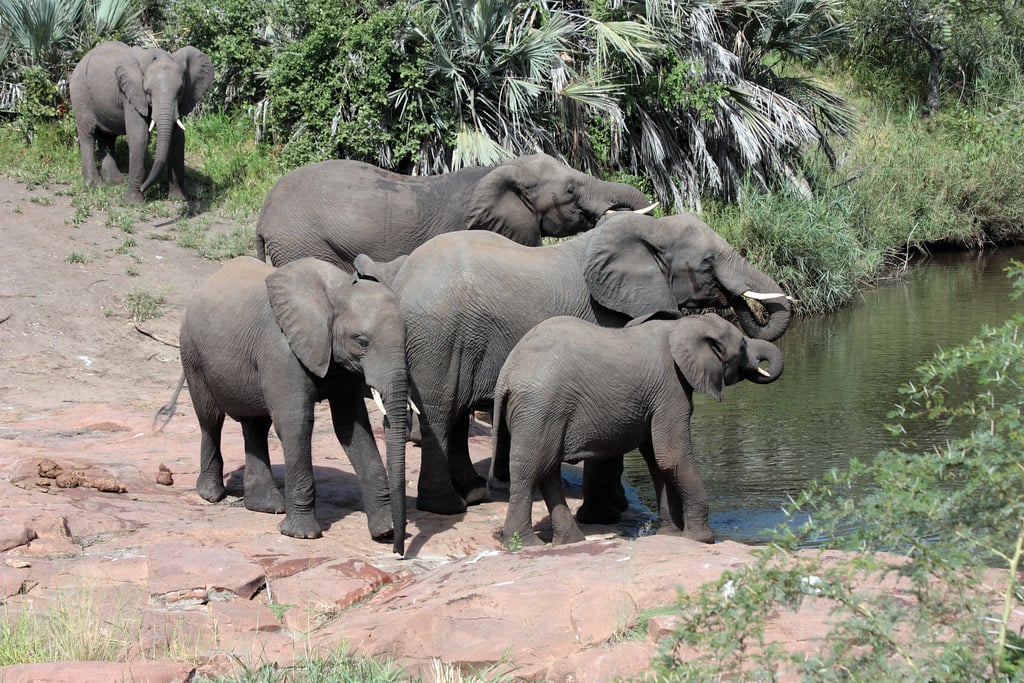 Kruger National Park