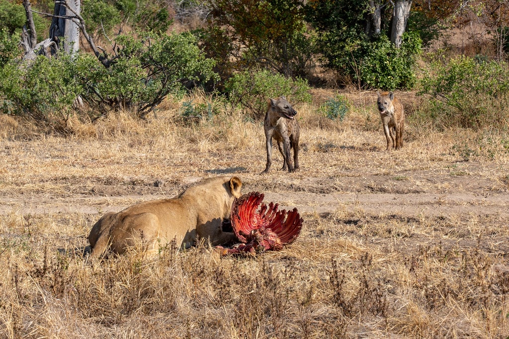 Mana Pools National Park