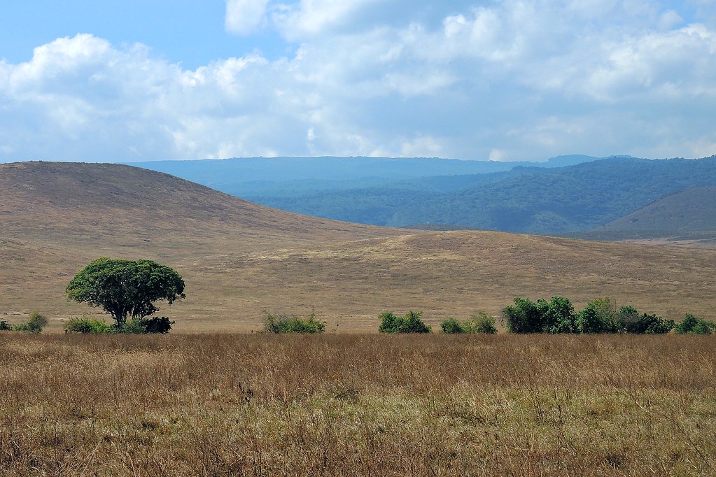 Ngorongoro Conservation Area