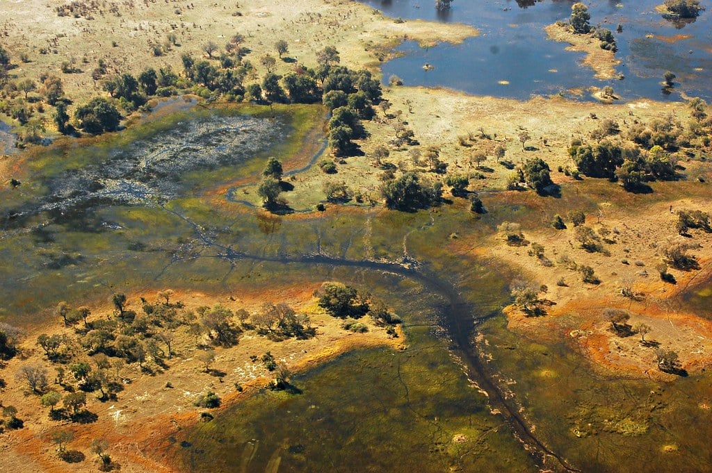Okavango Delta