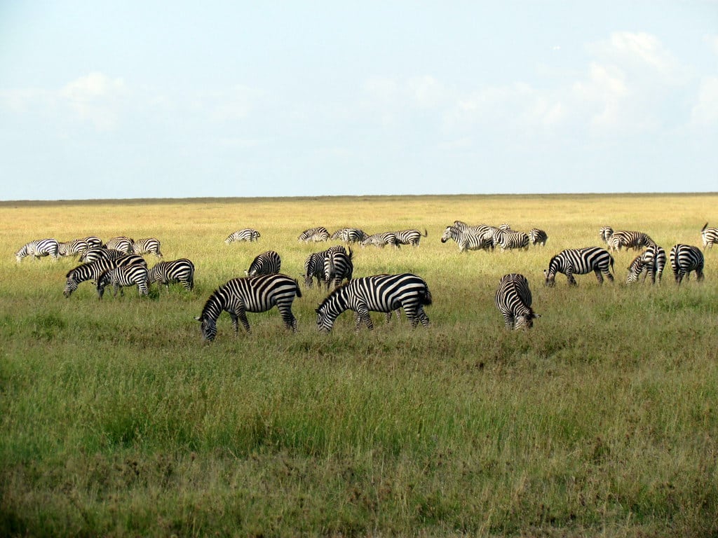 Serengeti National Park