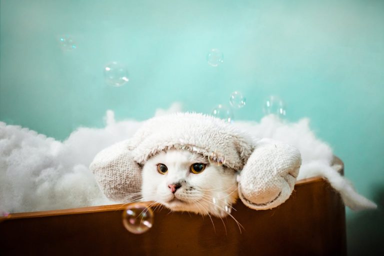 How to Bathe Your Furry Babies Properly?