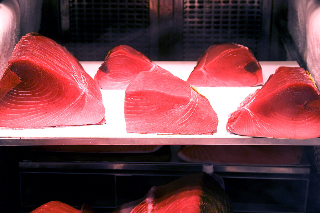 Southern Bluefin Tuna