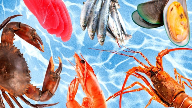 16 Different Types of Seafood