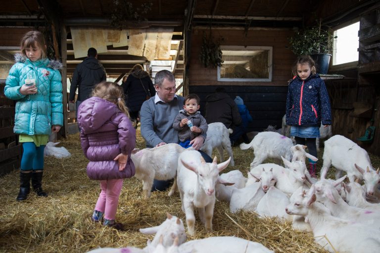 10 Popular Petting Zoos in the Netherlands